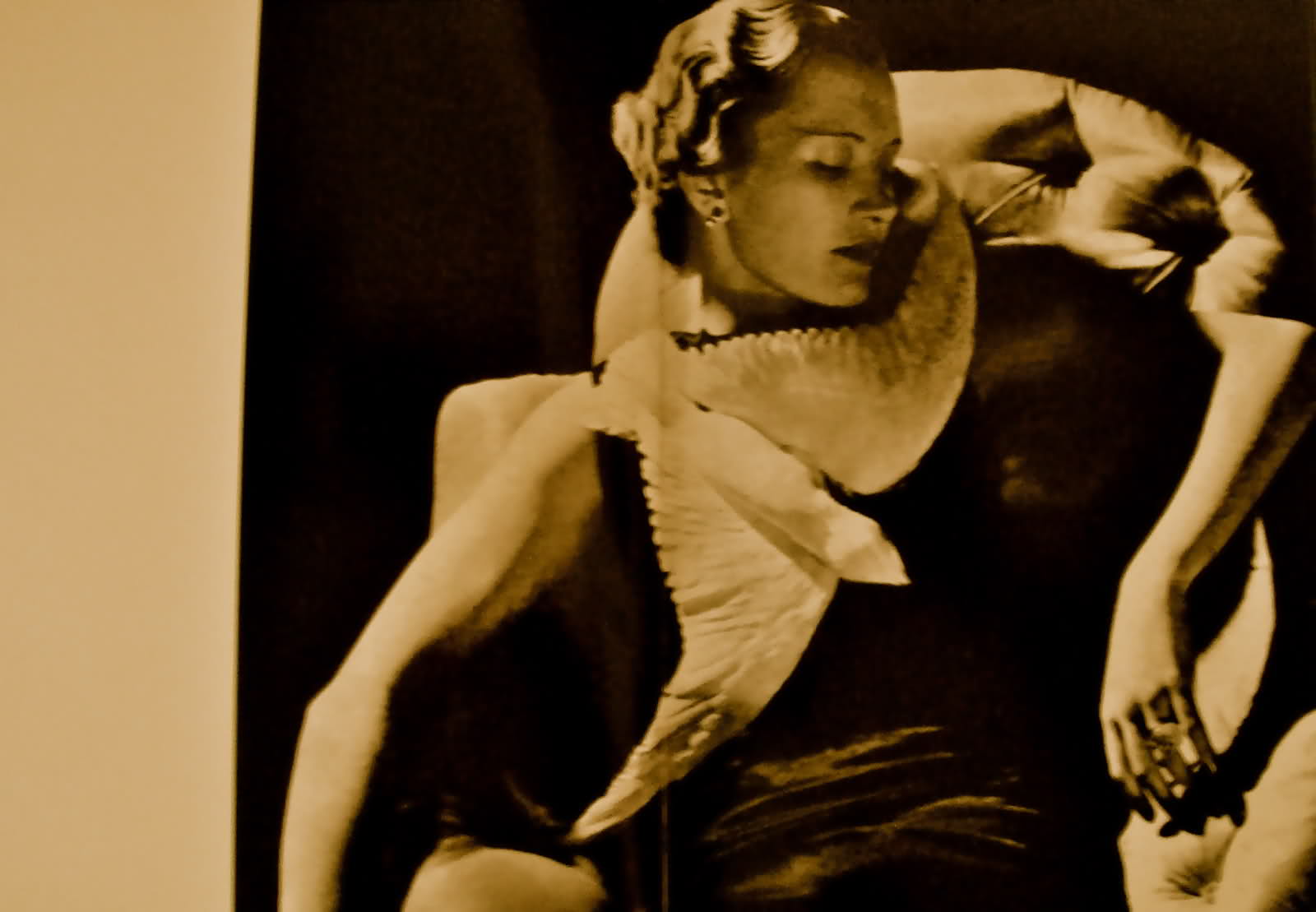 marcel rochas seagull dress