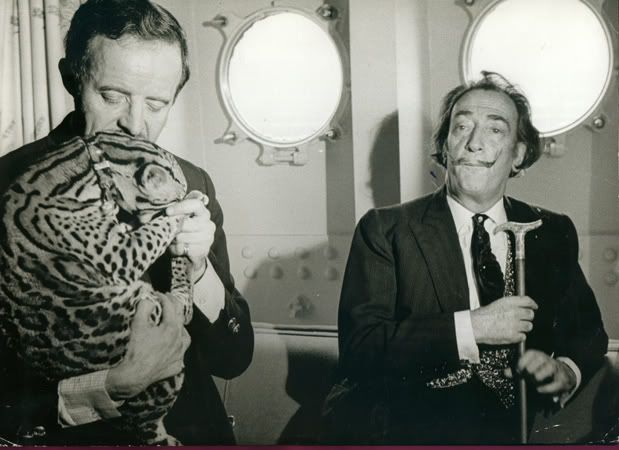 salvador dali pet