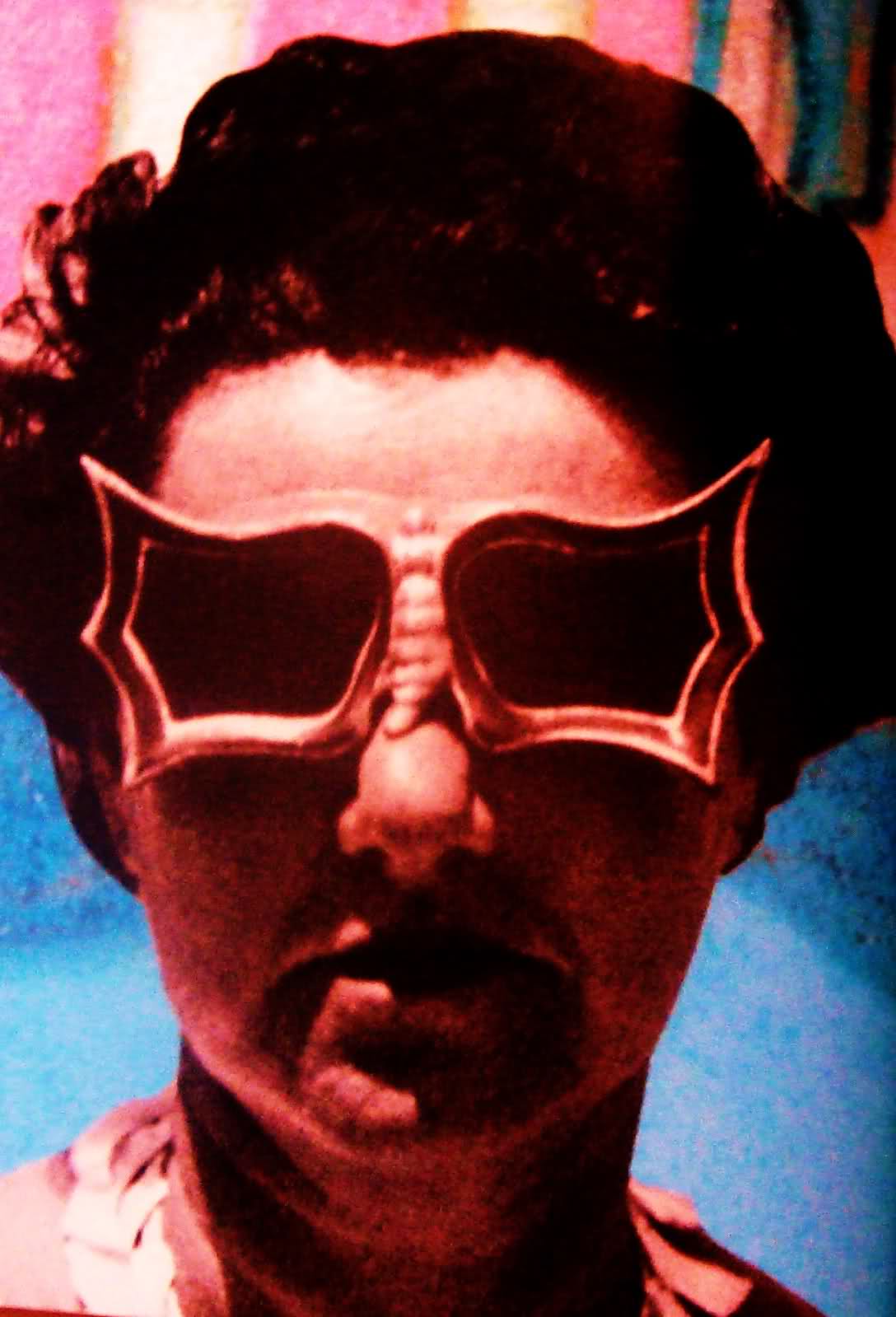 peggy guggheim butterfly sunglasses