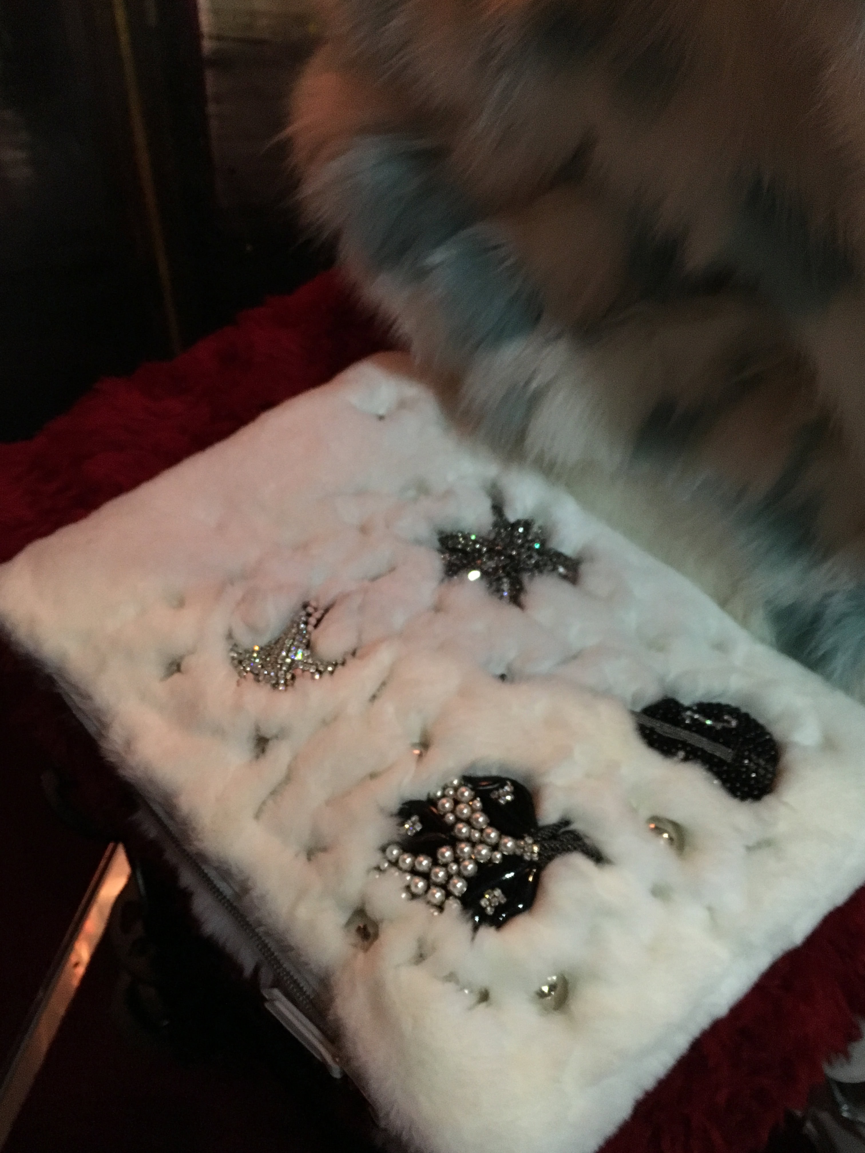 miu miu pre fall 2017 accessories